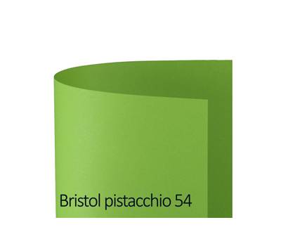 Cartoncino Bristol Color 70 x 100 cm 200 gr pistacchio - 54,18874 Cartoncino Bristol Color 70 x 100 cm 200 gr pistacchio - 54,18874