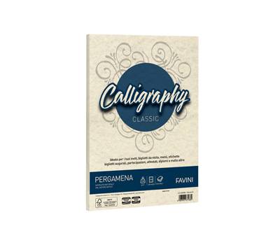 Carta Calligraphy Pergamena - A3 - 190 gr - naturale 06 - conf. 250 fogli - Favini - A69Q253 - 8007057670363 - DMwebShop