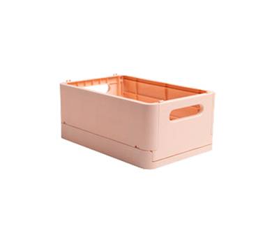Scatola pieghevole The Smart Case midi Skandi - 27,6 x 18,8 x 12 cm - nude - Exacompta - 27131D - 9002493271319 - DMwebShop