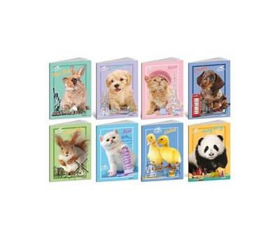 Maxiquaderno City Pet 2024 - A4 - 4 mm - con margine - 21 fogli - 80 gr - conf. 10 pezzi - Blasetti - 8558 - 8007758285583 - DMwebShop