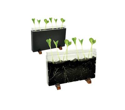 Contenitore Esplora il sottosuolo - 30 x 19 x 4 cm - Cwr - 12892 - 4260197671452 - DMwebShop