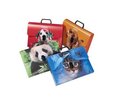 Valigetta Animal Friends Color - 28 x 38 cm - dorso 5 cm - PP - fantasie assortite - Colorosa - 64EP16 - 8011791002212 - DMwebShop