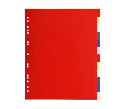 Separatore neutro a 12 tacche - PPL - colori assortiti - A4 Maxi - conf. 50 pezzi - Exacompta - 93H - 3141870000930 - DMwebShop