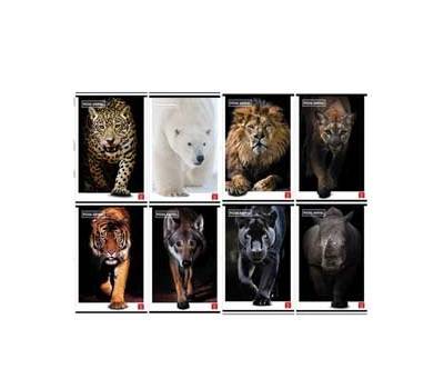 Maxiquaderno Animal A4,5 mm con margine 42 fogli 80 gr - 25464 Maxiquaderno Animal A4,5 mm con margine 42 fogli 80 gr - 25464