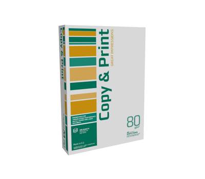 Carta bianca Copy e Print - A4 - 80 gr - risma da 500 fogli - conf. 5 pezzi - No Brand - 8091 DROP - DMwebShop