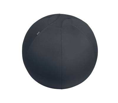 Palla Ergo Active - da seduta - 65 cm - grigio scuro - Leitz - 65420089 - 4002432134779 - DMwebShop