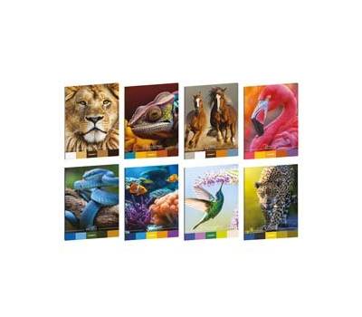 Maxiquaderno Animal Palette A4,10 mm con margine 21 fogli 80 gr - 30452