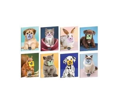 Maxiquaderno Pets IT A4 rigo di 1a 21 fogli 80 gr - 30423