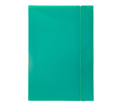 Cartella progetto con elastico - 24 x 35 cm - dorso 3 cm - verde - conf. 10 pezzi - Fellowes - U140-VE - 8015687007213 - DMwebShop - 1