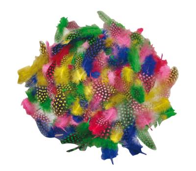 Piume tropicali - dimensione 50-100 mm - colori assortiti - conf. 100 pezzi - Deco - 12609 - 8004957126099 - DMwebShop - 1