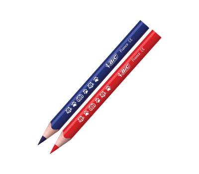 Matita colorata Evolution Triangle - colori assortiti - conf. 12 pezzi - Bic - 82973511 Bic Kids - 3086124001632 - DMwebShop - 1