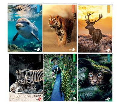 Maxiquaderno Animal fantasia - A4 - 40+2 fogli - 80 gr - 4 mm - con margine - conf. 10 pezzi - BM - 0110383 - 8008234103834 - DMwebShop - 2