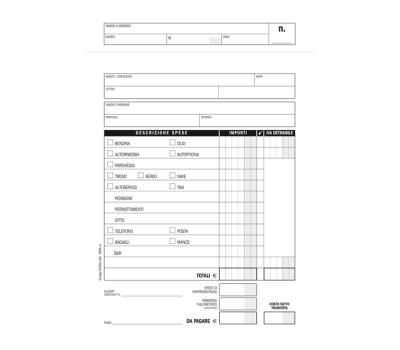 Blocco buste nota spese - 25 buste staccabili - 23 x 16 cm - conf. 10 pezzi - Data Ufficio - 666600000 - 18008842588976 - DMwebShop - 3