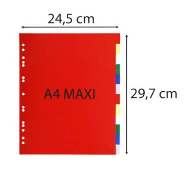 Separatore neutro a 12 tacche - PPL - colori assortiti - A4 Maxi - conf. 50 pezzi - Exacompta - 93H - 3141870000930 - DMwebShop - 1