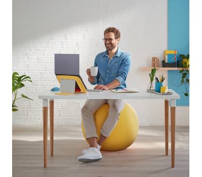 Palla Ergo Cosy - da seduta - giallo - Leitz - 52790019 - 4002432129522 - DMwebShop - 7