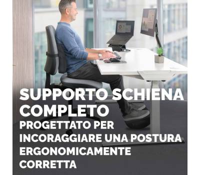 Cuscino Lombare Confort Breyta - 33 x 38 x 9 cm - in tessuto - nero - Fellowes - 100119852 - 43859803057 - DMwebShop - 5