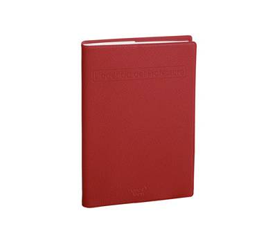 Agenda Professore 2026 copertina Impala 21 x 27 cm colori assortiti - 2382