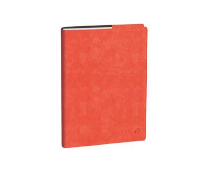 Agenda del Professore 2026 copertina Roma 21 x 27 cm rosa corallo - 2909