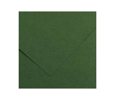 Foglio Colorline 70 x 100 cm 220 gr verde abete - 2351
