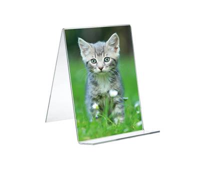 Portadepliant verticale con base in legno 21 x 30 cm acrilico - 3182