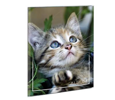 Album portafoto a busta saldato assortiti - 23 x 30 cm - contiene fino a 80 foto da 14 x 19 cm - Lebez - 2757 - 8007509027578 - DMwebShop - 4