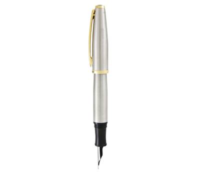 Penna stilografica Aldo Domani - punta M - fusto silver - Monteverde - J059673 - 80333596739 - DMwebShop - 1