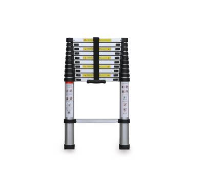 Scala telescopica 10 gradini - Garden Friend - S1405115 - 8023755047856 - DMwebShop - 1