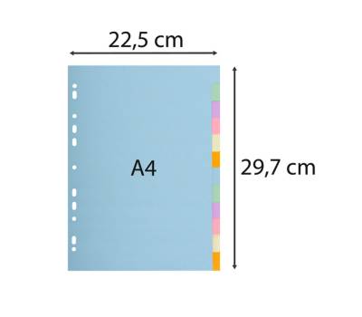 Separatore Forever Pastel - A4 - 12 tasti - cartoncino - 170 gr - Exacompta - 1612E - 3130630016120 - DMwebShop - 2 Separatore Forever Pastel - A4 - 12 tasti - cartoncino - 170 gr - Exacompta - 1612E - 3130630016120 - DMwebShop - 2