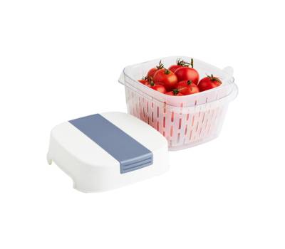 Contenitore per alimenti Dynamic Box Fresh - 1,6 lt - Rotho - F710256 - 7610859256935 - DMwebShop - 2