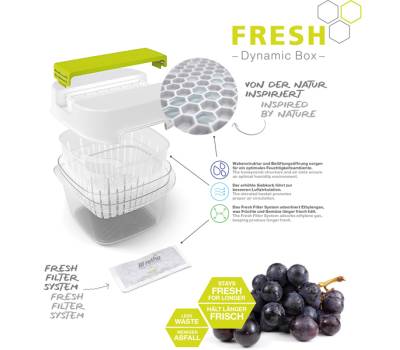 Contenitore per alimenti Dynamic Box Fresh - 1,6 lt - Rotho - F710256 - 7610859256935 - DMwebShop - 3