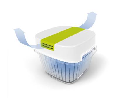 Contenitore per alimenti Dynamic Box Fresh - 1,6 lt - Rotho - F710256 - 7610859256935 - DMwebShop - 4