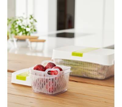 Contenitore per alimenti Dynamic Box Fresh - 1,6 lt - Rotho - F710256 - 7610859256935 - DMwebShop - 5