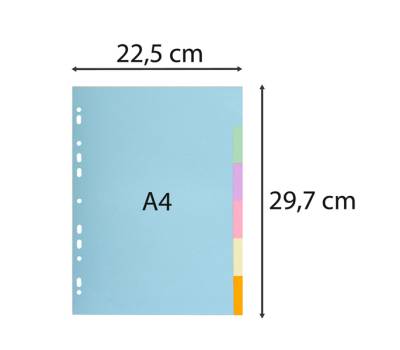 Separatore Forever - A4 - 6 tasti - cartoncino - 170 gr - Exacompta - 1606E - 3130630016069 - DMwebShop - 1 Separatore Forever - A4 - 6 tasti - cartoncino - 170 gr - Exacompta - 1606E - 3130630016069 - DMwebShop - 1