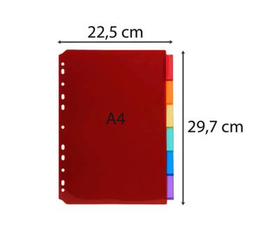Intercalari neutri - PPL - A4 - trasparente - 6 posizioni - Exacompta - 3906E - 3130630039068 - DMwebShop - 2