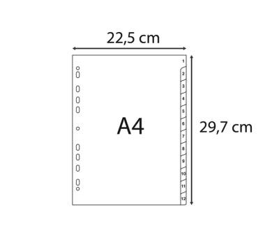 Intercalare numerico - 31 tasti - A4 - PPL riciclato - grigio - Exacompta - 1931E - 3130630019312 - DMwebShop - 2