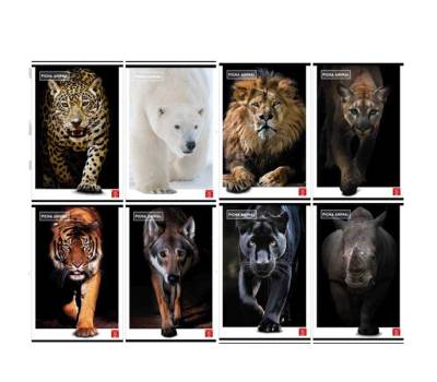 Maxiquaderno Animal A4,1 rigo con margine 42 fogli 80 gr - 25555 - 2 Maxiquaderno Animal A4,1 rigo con margine 42 fogli 80 gr - 25555 - 2