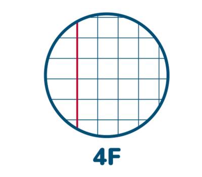 Maxiquaderno Cuccioli A4,4 mm con margine 42 fogli 80 gr - 25808 - 1 Maxiquaderno Cuccioli A4,4 mm con margine 42 fogli 80 gr - 25808 - 1