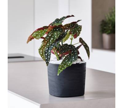 Vaso quadrato Capri - 26 lt - terracotta - Teraplast - 38711038001 - 8051560184848 - DMwebShop - 1