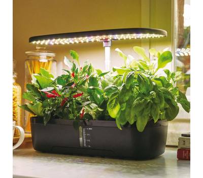 Orto idroponico indoor - 20 x 18 x 40 cm - Verdemax - V002334 - 8015358023344 - DMwebShop - 1