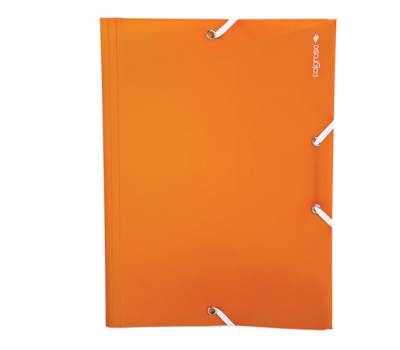 Cartella 3L - PPL 25 x 35 cm - A4 - colori assortiti - conf. 24 pezzi - Colorosa - 362201 - 8004428043436 - DMwebShop - 2