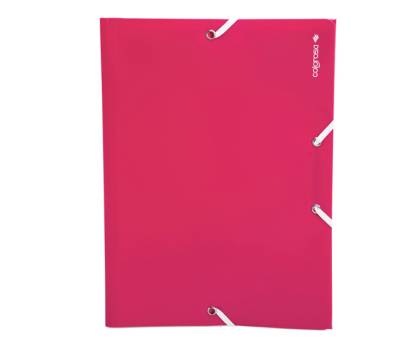 Cartella 3L - PPL 25 x 35 cm - A4 - colori assortiti - conf. 24 pezzi - Colorosa - 362201 - 8004428043436 - DMwebShop - 3