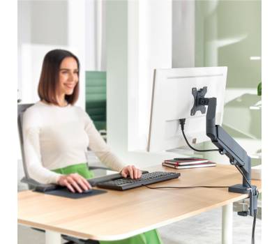 Braccio salvaspazio - per 1 monitor - grigio scuro - Leitz - 64890089 - 4002432134663 - DMwebShop - 3