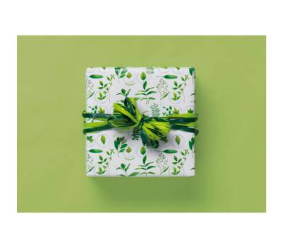Carta regalo raso Primavera 70 x 100 cm scatola 100 fogli - 24755 - 1