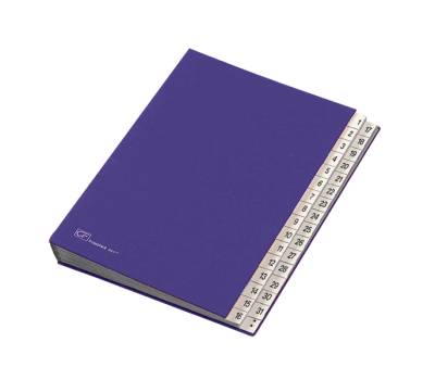 Classificatore numerico 1/31 - 643D - 24 x 34 cm - blu - Fraschini - 643D-BLU - 8027032022000 - DMwebShop