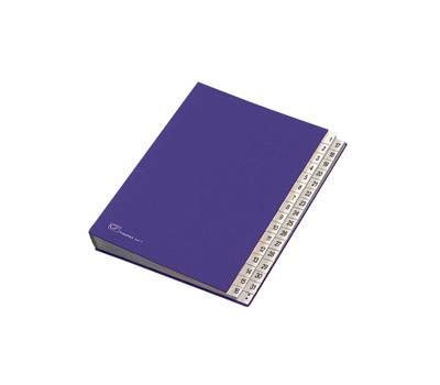 Classificatore numerico 1/31 - 643D - 24 x 34 cm - blu - Fraschini - 643D-BLU - 8027032022000 - DMwebShop