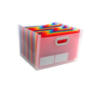Classificatore con maniglia Crystal - 24 tasche - PP - 33 x 23,5 x 25 cm - Exacompta - 55198E - 3130630551980 - DMwebShop