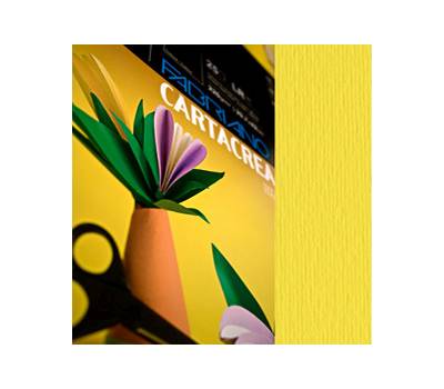 Cartoncino CartaCrea - 35 x 50 cm - 220 gr - cedro - blister 10 fogli - Fabriano - 46435125 - 8001348127772 - DMwebShop