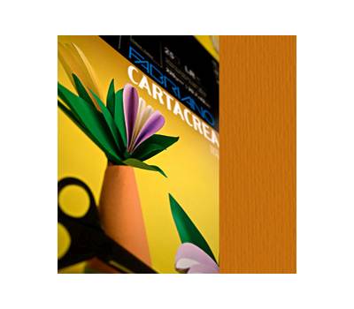 Cartoncino CartaCrea - 35 x 50 cm - 220 gr - terra bruciata - blister 10 fogli - Fabriano - 46435119 - 8001348127710 - DMwebShop