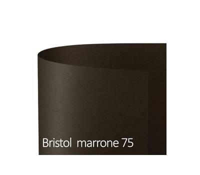 Cartoncino Bristol Color 50 x 70 cm 200 gr marrone 75 - 18659 Cartoncino Bristol Color 50 x 70 cm 200 gr marrone 75 - 18659