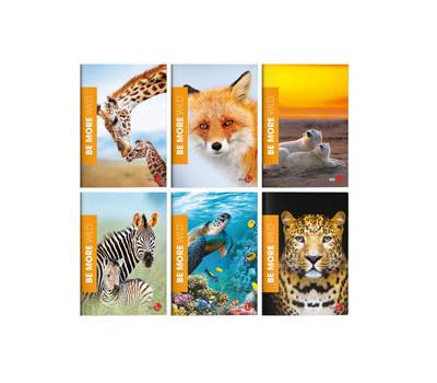 Maxiquaderno Be More Wild A4 36-2 fogli 100 gr 5 mm con margine BM 0120566 - 16364